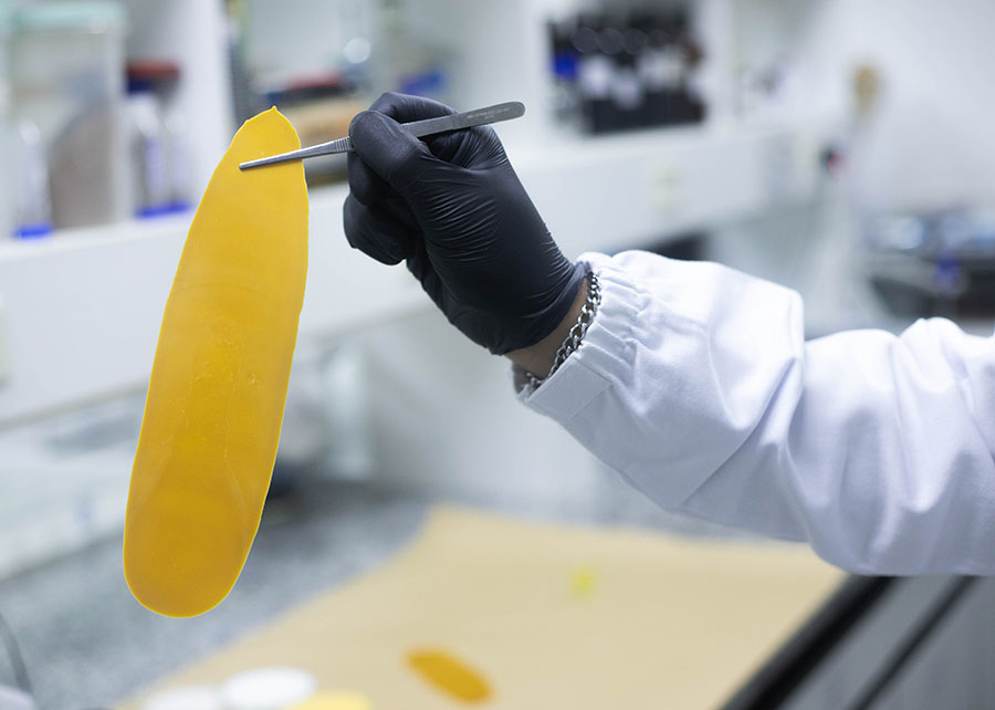 NANOTECNOLOGIA ][ Revestimento de óleo de mamona e argila otimiza uso da ureia